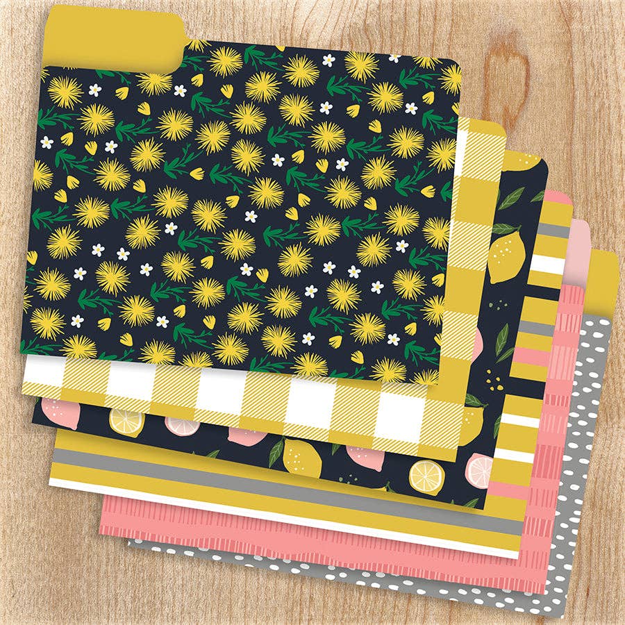 TF Publishing - Paper Goods - Joy Designer Set of 12 Decorative File Folders