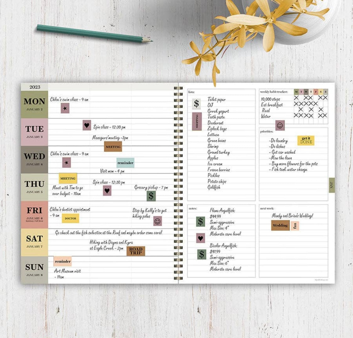 TF Publishing - Paper Goods - Academic Year July 2022 - June 2023 Field of Flowers Large Daily Weekly Monthly Planner